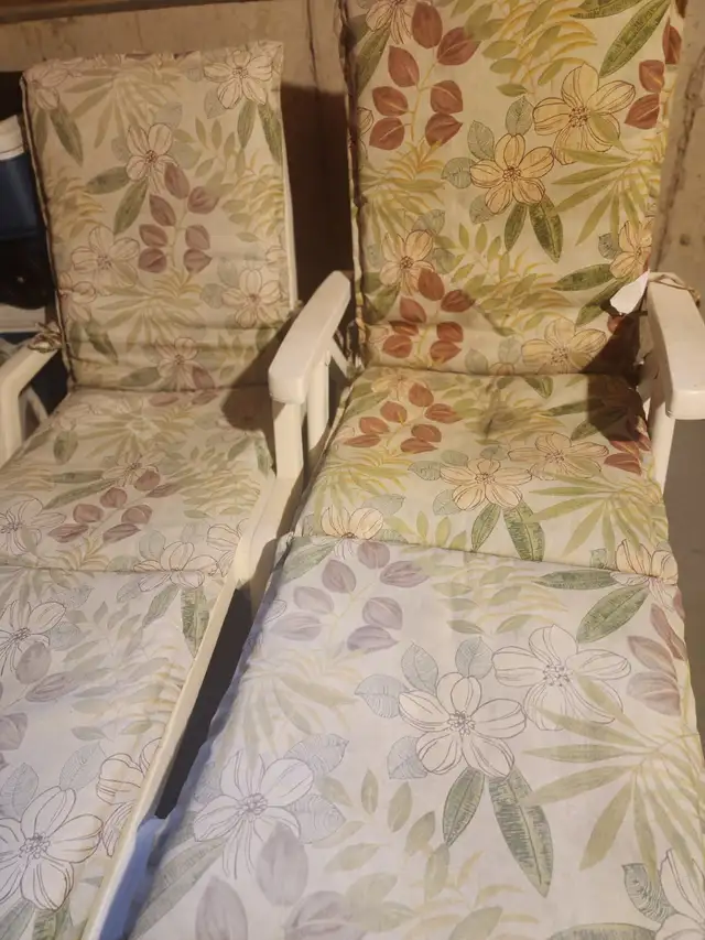2 POOL CHAIRS WITH MATCHING CUSHIONS