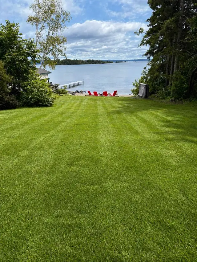 Local Odd Jobs –  Clean Ups, Junk Removal,Gutters Lawn care