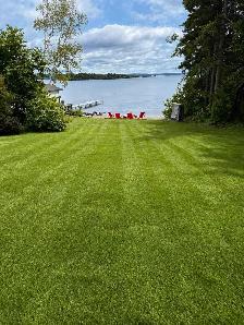 Local Odd Jobs –  Clean Ups, Junk Removal,Gutters Lawn care