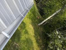 Local Odd Jobs –  Clean Ups, Junk Removal,Gutters Lawn care - Photo 2
