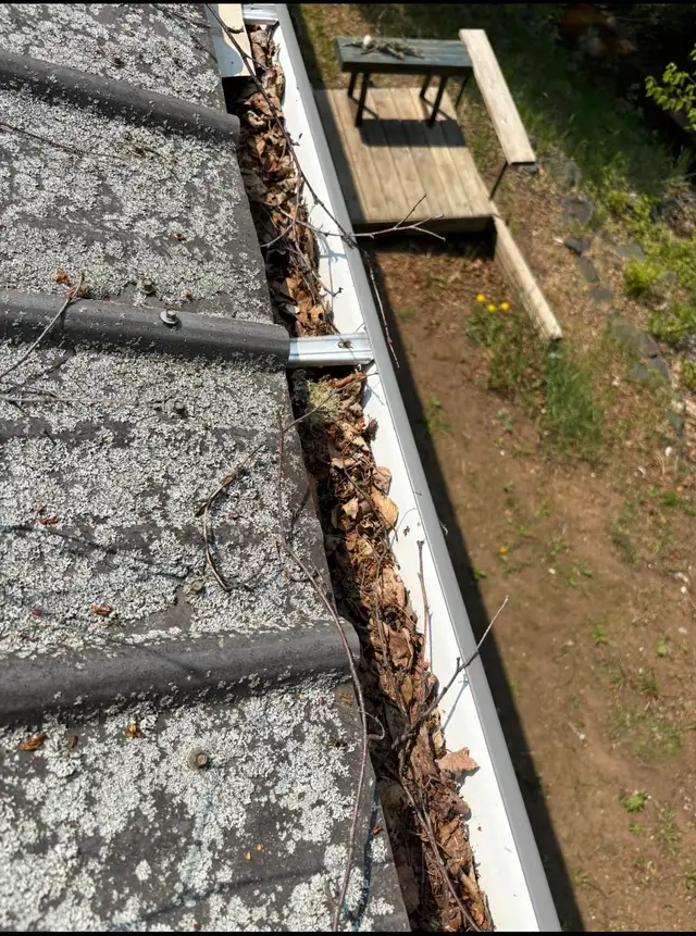 Local Odd Jobs –  Clean Ups, Junk Removal,Gutters Lawn care - Photo 3