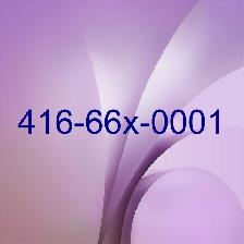 For Sale 416 647 905 numbers 0001 0001 1111 0002 1313