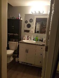 Daylight suite in Westridge - Photo 4