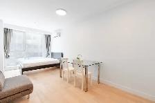 Prime Downtown Location Apartment for Rent