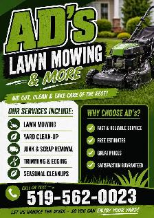 lawn mowing and more