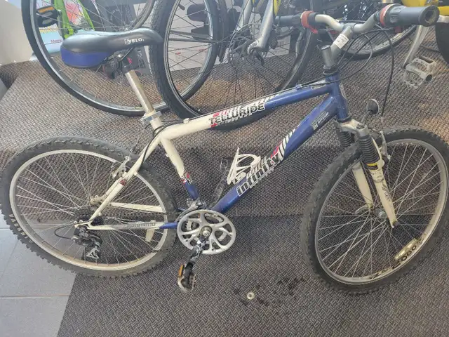 Infinity Telluride Bicycle