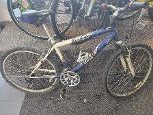 Infinity Telluride Bicycle