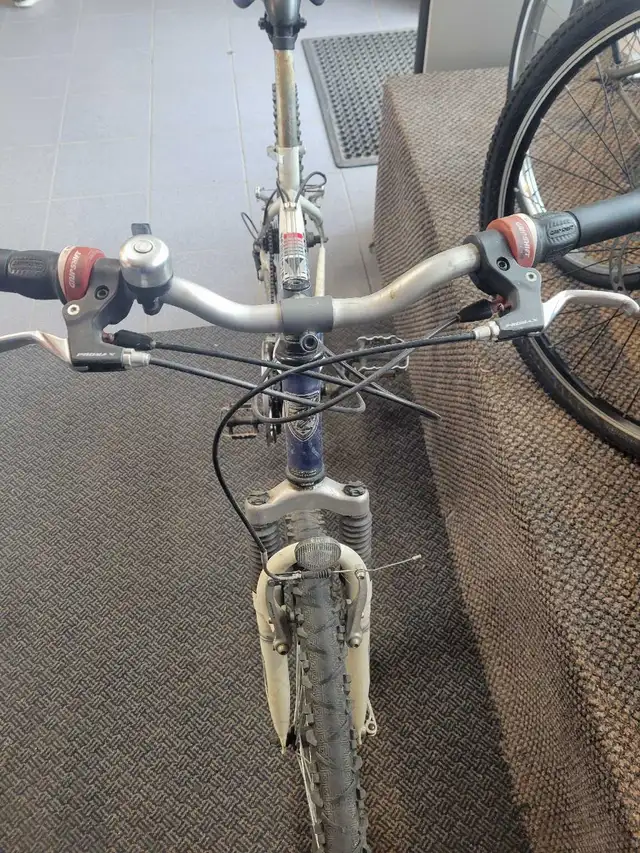 Infinity Telluride Bicycle - Photo 2