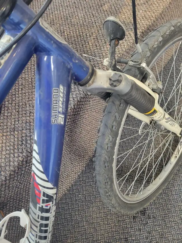 Infinity Telluride Bicycle - Photo 3