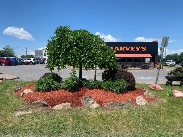 Tonte de gazon - Photo 2