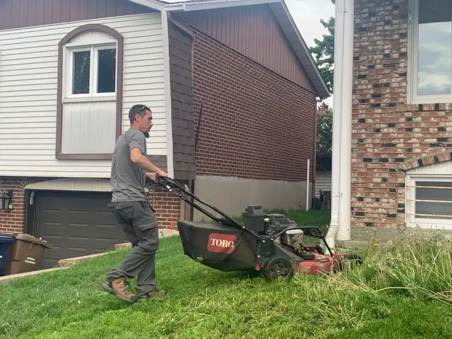 Tonte de gazon - Photo 3