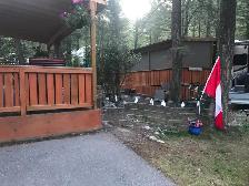 LOT & TRAILER FOR SALE: Mountain Shadows Resort, Radium BC - Photo 6