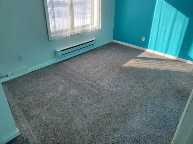 House for rent in Carman - Photo 8