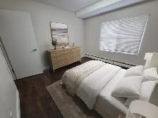 Bachelors and studios available immediately! Cat friendly! - Photo 2