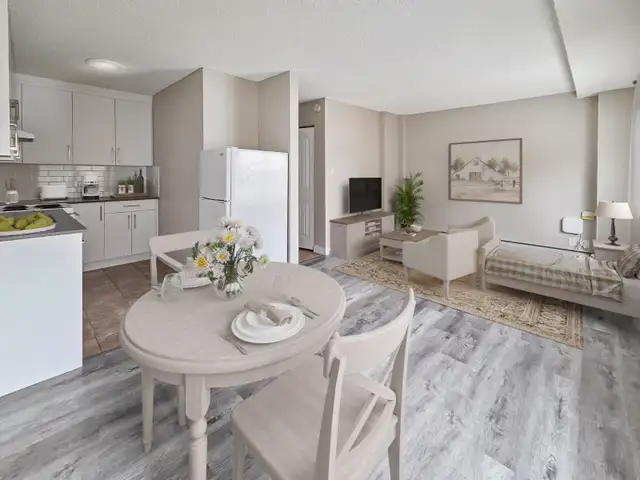 Bachelors and studios available immediately! Cat friendly! - Photo 3