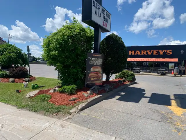 Tonte de gazon - Photo 5