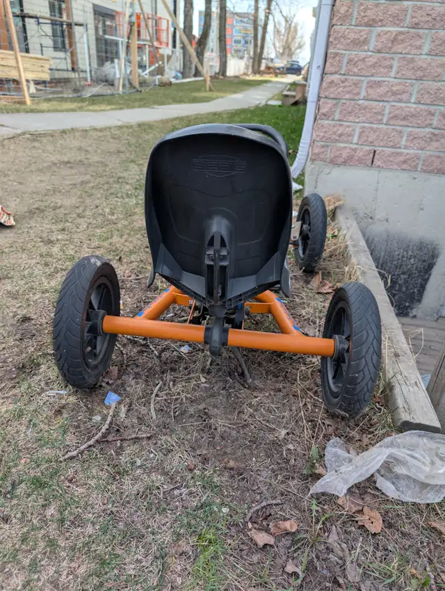 Berg Buggy - Photo 3