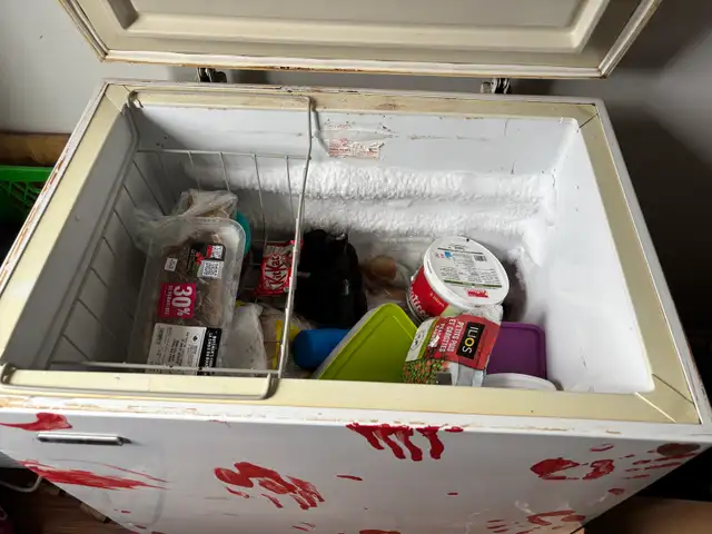 congelateur - Photo 2