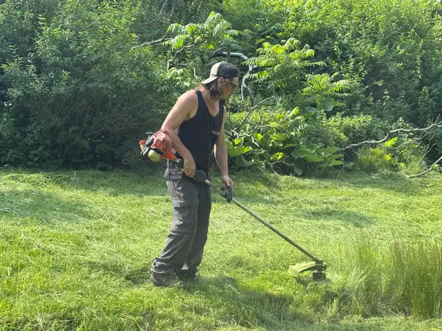 Services d'aménagement paysager