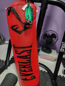 Everlast Heavy Bag WITH Stand $200