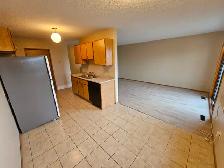 Beautiful 2 Bedroom Condo call to apply 306-960-5282 - Photo 3