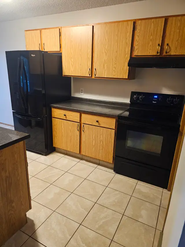 Beautiful 2 Bedroom Condo call to apply 306-960-5282 - Photo 5