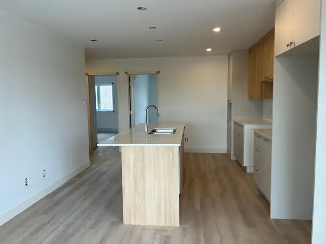 SIX LOGEMENTS 2026 DE 4 ½ AVEC PIÈCE BUREAU A SABREVOIS - Photo 2