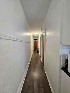 Super 3-1/2  2me Av. et Masson. (Rosemont-La Petite-Patrie)) - Photo 6