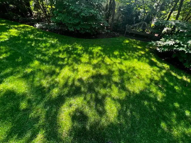 Lawn Aerating, Dethatching, Fertilizing, Top Dressing, Overseed - Photo 7