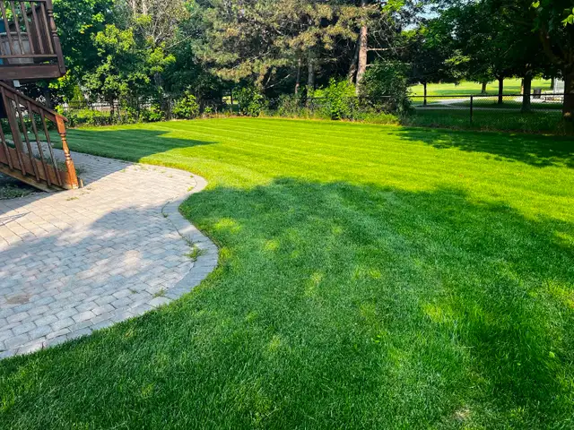 Lawn Aerating, Dethatching, Fertilizing, Top Dressing, Overseed - Photo 10