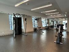 Private Furnished Room - 01-May - Male - Downtown Toronto - Photo 7