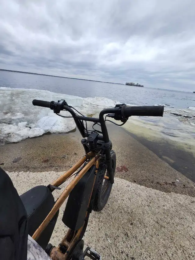 Électrique bike - Photo 2