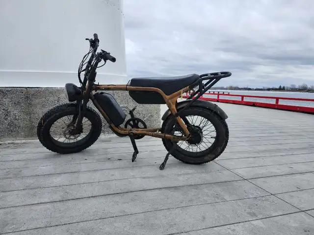 Électrique bike - Photo 3