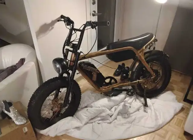 Électrique bike - Photo 4