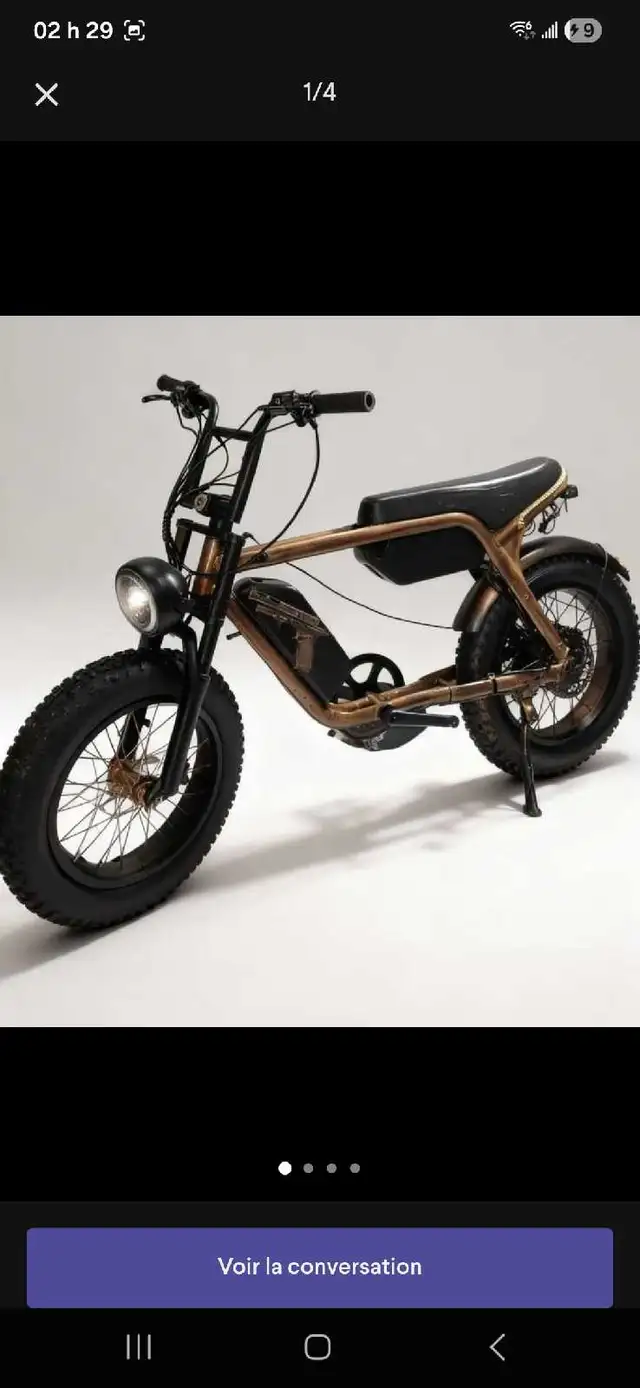 Électrique bike - Photo 5