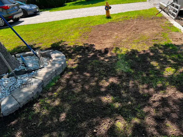 Lawn Dethatching, Aeration, Top Dressing - Photo 3