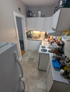 Very large 2-bedroom in Centretown: June 1 - Photo 5