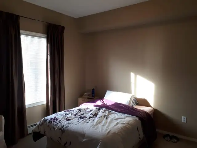 1bd 1den Top Floor Condo Available June - Photo 7