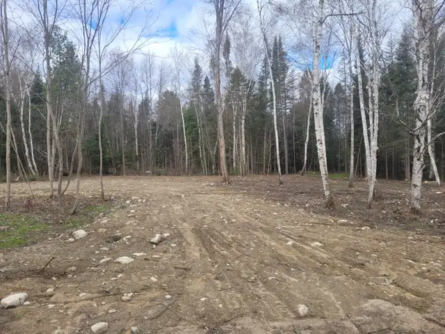 Vacant land - Mindy Lane, Mattawa, On - Photo 3