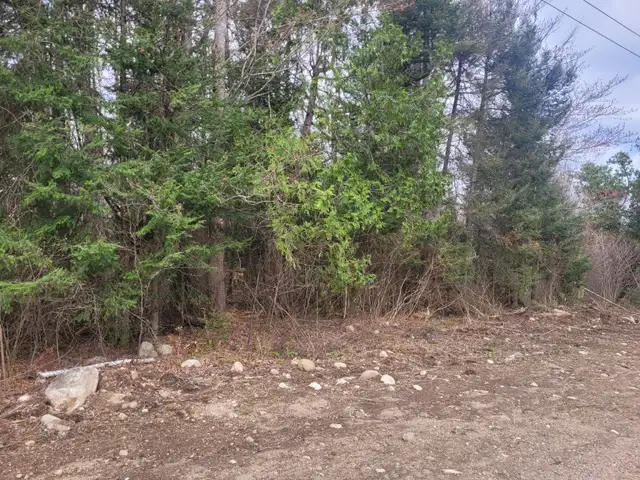 Vacant land - Mindy Lane, Mattawa, On - Photo 4