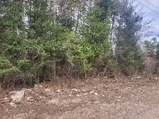 Vacant land - Mindy Lane, Mattawa, On - Photo 4