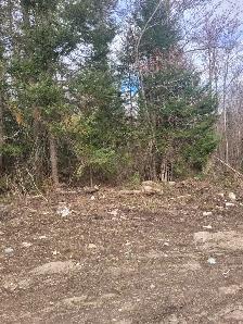 Vacant land - Mindy Lane, Mattawa, On - Photo 5