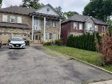 Walkout basement apartment for rent, best area of Scarborough