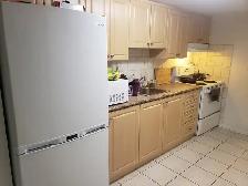 Walkout basement apartment for rent, best area of Scarborough - Photo 5