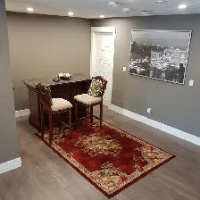 Brand New Basement For Rent (Walk-Out & With Separate Entrance) - Photo 4