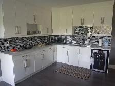Brand New Basement For Rent (Walk-Out & With Separate Entrance) - Photo 5