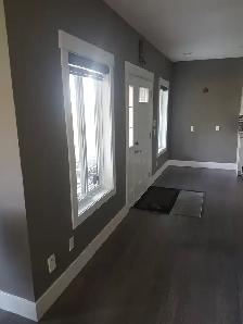 Brand New Basement For Rent (Walk-Out & With Separate Entrance) - Photo 6
