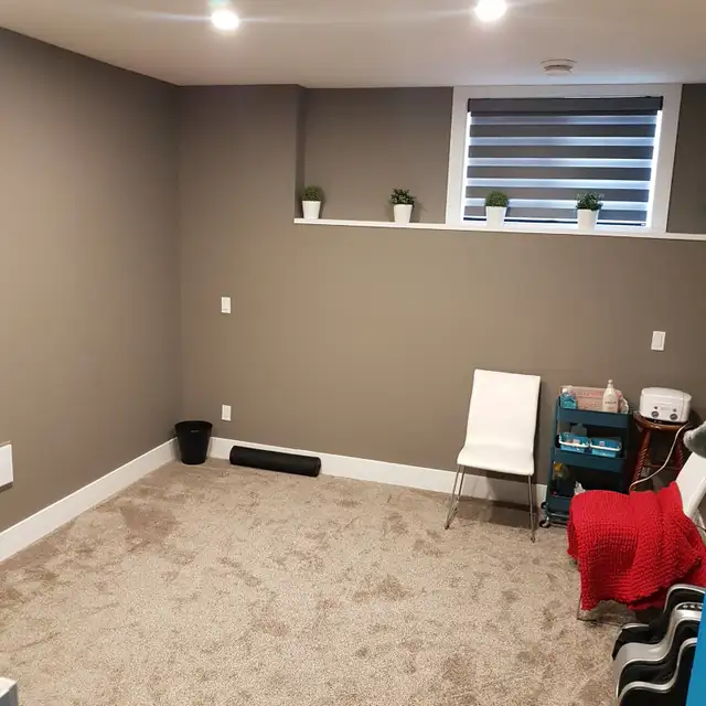 Brand New Basement For Rent (Walk-Out & With Separate Entrance) - Photo 9