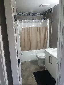 Brand New Basement For Rent (Walk-Out & With Separate Entrance) - Photo 10