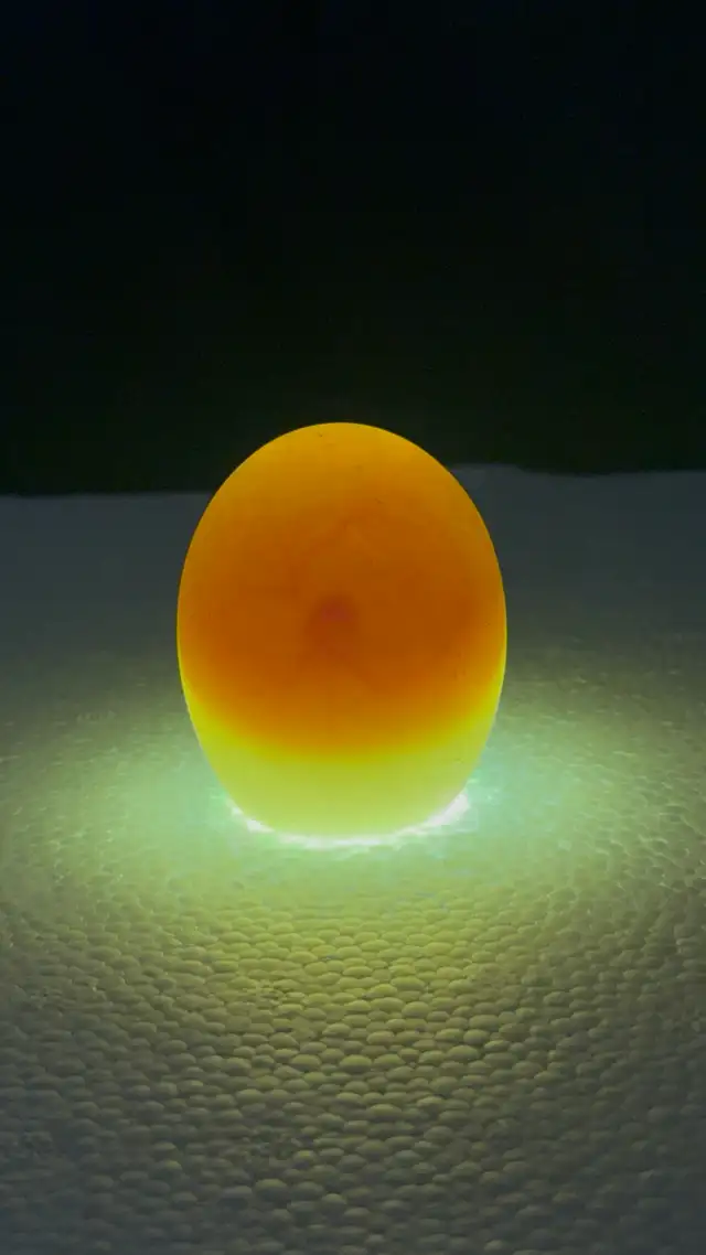 Duck Hatching Eggs Available - Photo 4